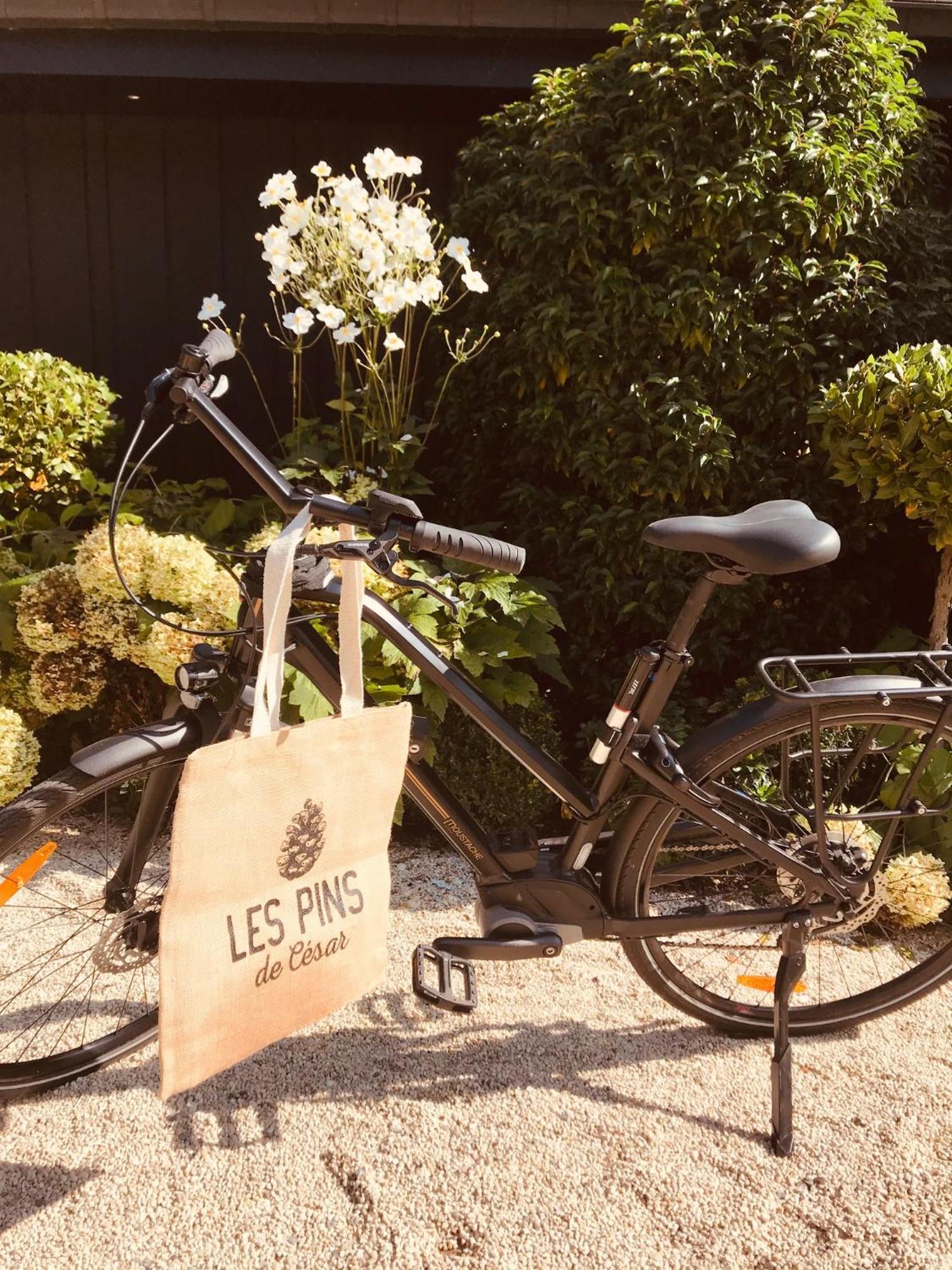 Les Pins De Cesar - La Campagne D'Etretat Hotel Saint-Jouin-Bruneval Kültér fotó