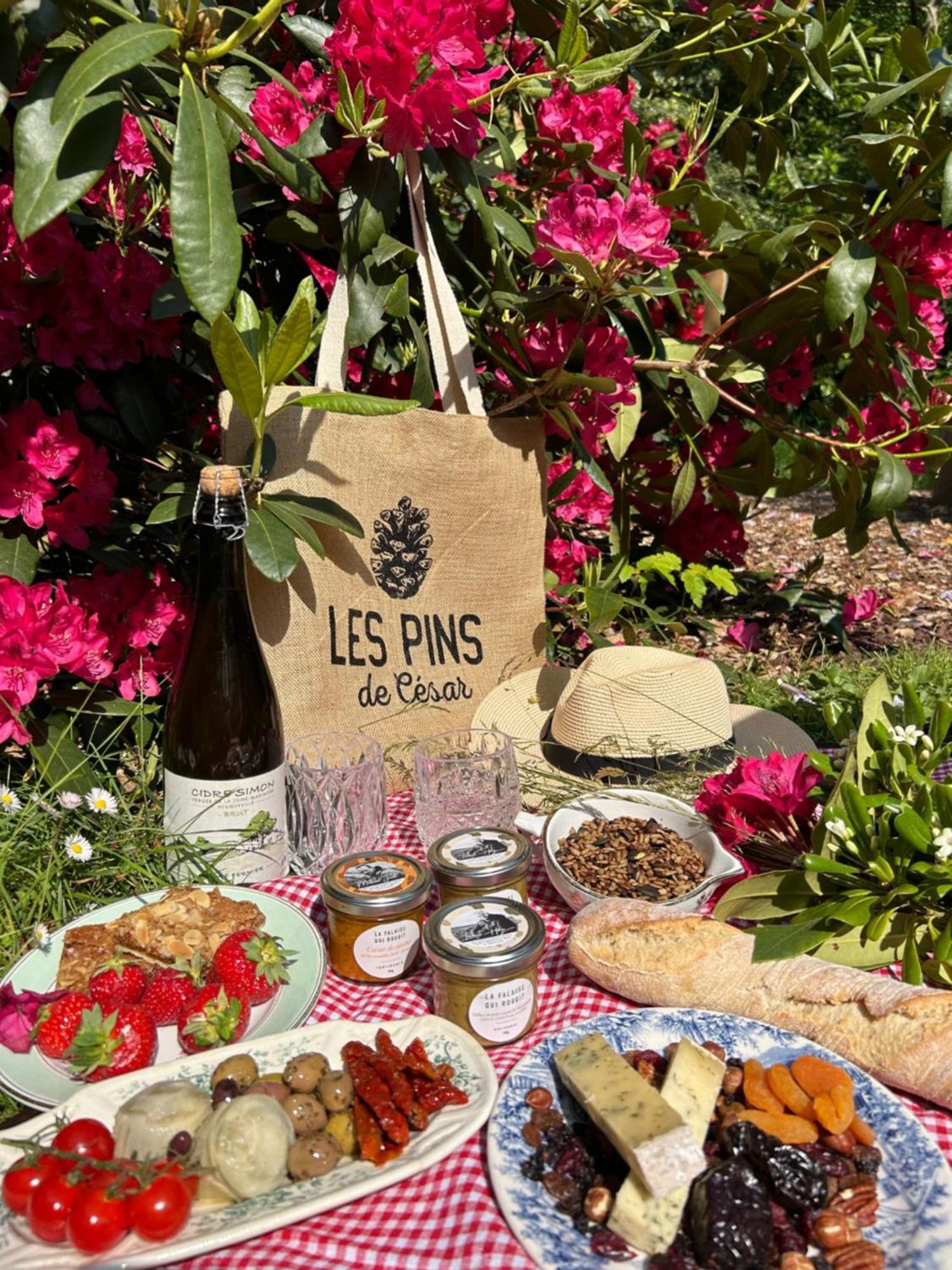 Les Pins De Cesar - La Campagne D'Etretat Hotel Saint-Jouin-Bruneval Kültér fotó