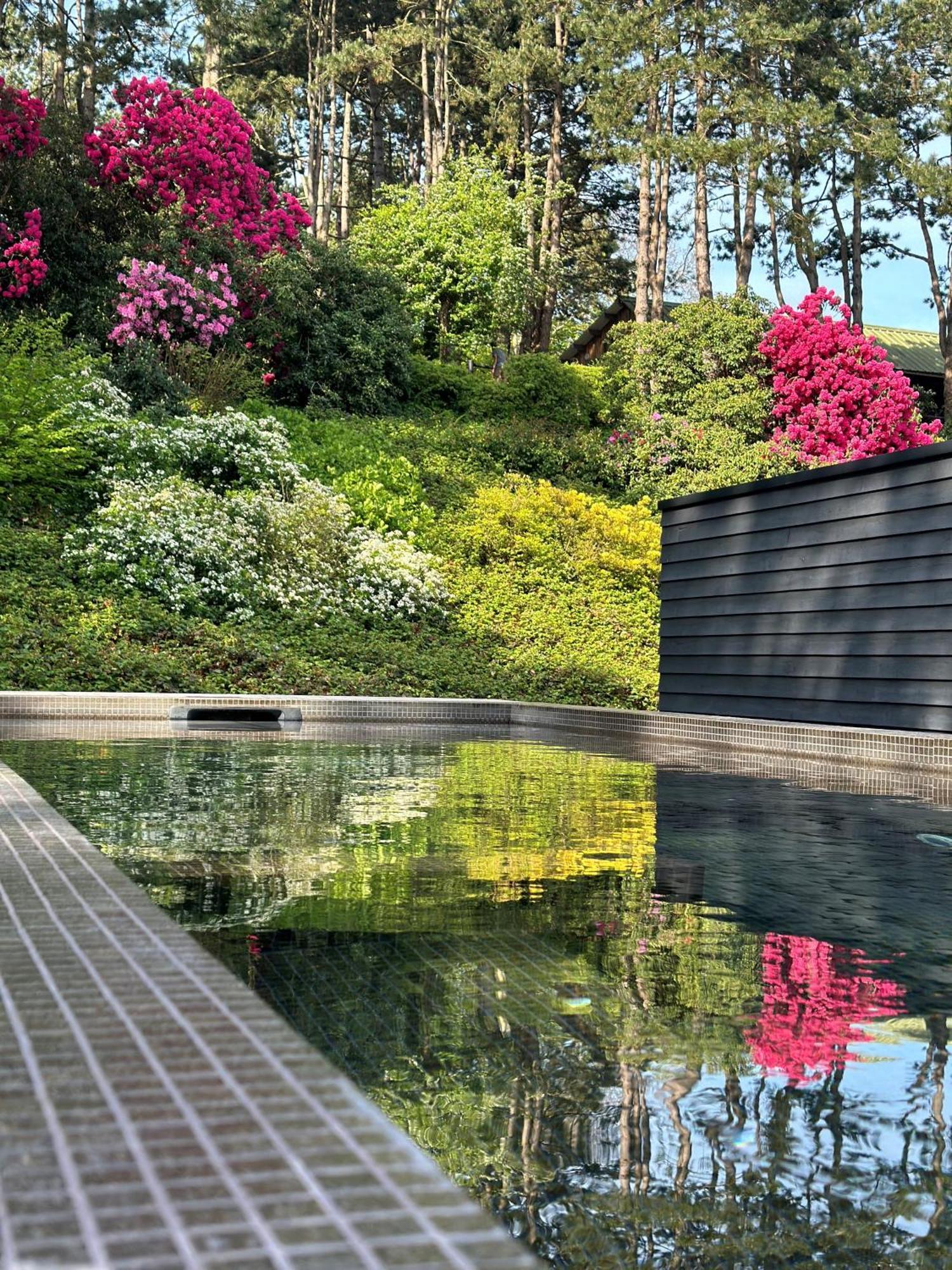 Les Pins De Cesar - La Campagne D'Etretat Hotel Saint-Jouin-Bruneval Kültér fotó